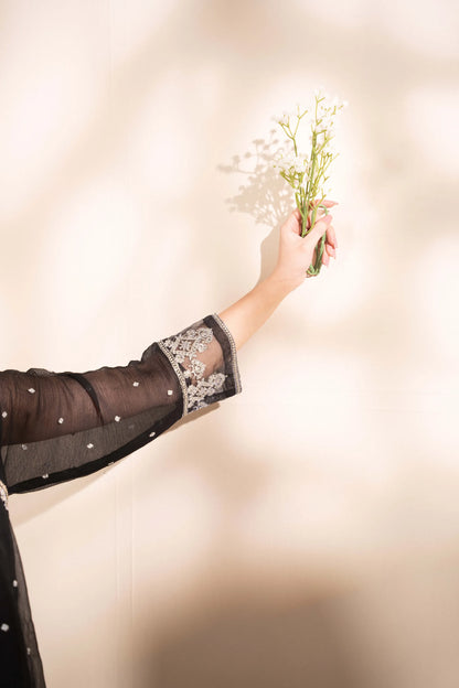 Optimized WebP image